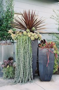 3 tier concrete bird bath with succulents - Google Search