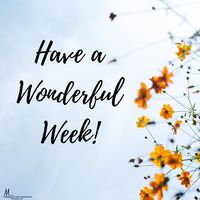 Happy Monday! I hope you have a wonderful week! ⁣ ⁣ ⁣ #embracingtheunexpected #mareedee #Monday #newweek #newday #freshstart