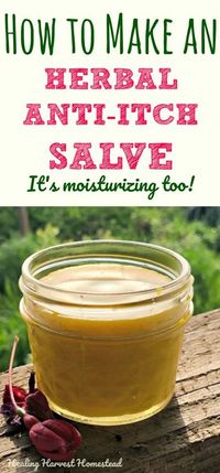 Do bug bites have you scratching? Or maybe you suffer from dry, itchy skin? This herbal anti-itch salve is so easy to make. It's soothing, anti-inflammatory, and smells wonderful. Click through to find out how to make a natural herbal anti-itch salve you'll love!