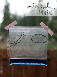 Super fun science for kids. Make the water cycle in a bag!