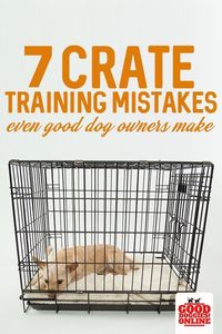 Crate training your dog or puppy can be a challenge. Luckily it doesn’t have to be if you know what mistakes to avoid. Check out these crate training tips for your dog. #cratetraining #dogtraining #dogs #puppytraining #puppies #GoodDoggies