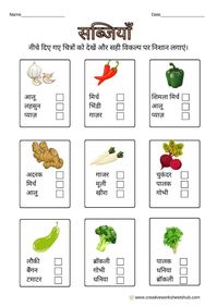 Fruits and Vegetable Worksheets for Kindergarteners in Hindi - creativeworksheetshub