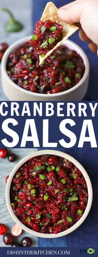 Tasty Jalapeno Cranberry Salsa - Dish 'n' the Kitchen