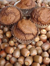 How to process acorns and use the meal/flour to make muffins. They're really tasty!!