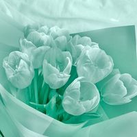 #pinterest #teal