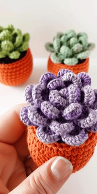 Looking for a quick and easy way to add greenery to your decor? Try this no-sew crochet succulent pattern! With detailed instructions, it’s perfect for beginners. Get all the tips and ideas to start your crochet project now!