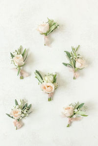 Blush, cream and sage boutonnieres