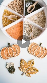 Inspire My Play ® on Instagram: "Mine couldn’t get enough of this craft! They made so many! Make sure you use a good quality PVA glue to stick the beans, seeds and lentils down. You can get as intricate as you like with these mosaics or keep it simple for younger children.
.
Our naturals scoops and tool sets are perfect for this time of year! Shop them now at inspiremyplay.com 
.
.
.
.
#inspiremyplay #inspiremyplaytray #playtray #trayplay #carftykids #fallactivities #fallcrafts #sensoryplay #sensorybin"