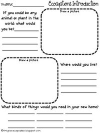 Ecosystems Introduction