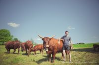 Eleveur de Salers, pour le concours des prairies fleuries dans le cantal et le puy de dôme (parc des volcans d'auvergne) ©Eve Hilaire