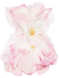 light pink/white/yellow organza floral appliqué strapless open back sleeveless straight hem thigh-length