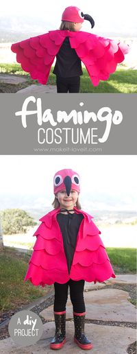 A simple DIY Flamingo Costume.....for any age!