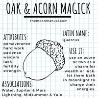 Acorn Magick