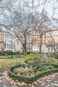 St James's Square Garden