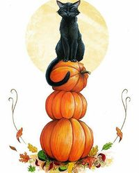 Black Cat with three orange pumpkins of Halloween