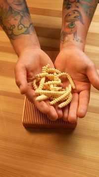 Making vegan, durum wheat pasta- long cavatelli #pasta #vegan #food #satisfying #handmade