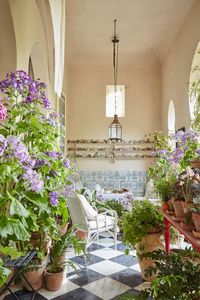 In the Moroccan garden of writer, garden-maker, collector and aesthete, Umberto Pasti, potted plants almost completely cover the chequerboard marble floor. “To bring order to the chaos, limit materials and keep the pots consistent – for example use all terracotta, or all zinc.”