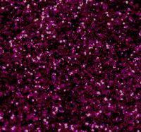 Purple and Plum Glitter – Violet Voss Cosmetics