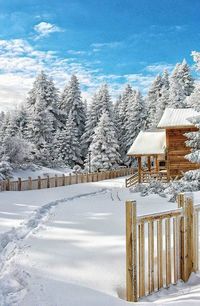 Tracks through the snow to a wood cabin on a crisp winter day