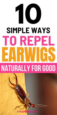 Learn how to get rid of earwigs in your home with these effective tips! Whether you’re dealing with earwigs in house or need garden pest control, this guide covers everything from using diatomaceous earth food grade to creating a DIY earwig killer. Try a natural earwig repellant or an earwig repellant for a chemical-free solution. Discover the best earwig killer methods, organic pest control options, and natural bug repellent ideas to tackle household bugs.