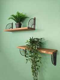 Etagère murale en bois avec supports éventail