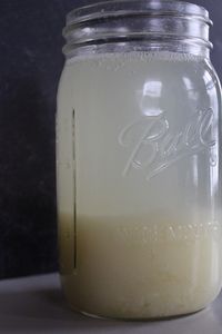 Potato Yeast Starter for Baking Bread