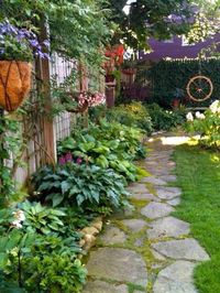 Stepping stones in the backyard.