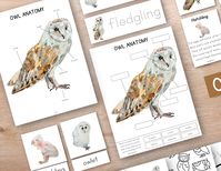 This Owl MINI Unit Study Bundle is a fall inspired unit study for toddler, pre-school and kindergarten aged children. This activity is Montessori and Homeschool friendly.  🦉 This set includes 15 pages full of activities!  ・Owl Life Cycle 3 Part Cards ・Life Cycle of an Owl Poster  ・Owl Study Writing Practice ・Life Cycle Sequencing Activity ・O is for Owl letter page ・Anatomy of an owl + cut and paste  ・Life Cycle information mini book ・Owl cutout  ・Letter Tiles ・Owl coloring pages ・Letter O writing practice Want more?! Purchase our FULL owl unit study here: https://www.etsy.com/listing/1289677290/owl-unit-study-bundle-owl-study-fall 👍Let's Be Friends!  Like us on Facebook (@themamamindful) Follow us on Instagram (@themamamindful).  Tag us in your posts -- we love to see our products in act