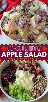 An easy fall recipe featuring Honeycrisp apples! It's ready in under 10 minutes. Complete with celery, grapes, pecans, and dried cranberries in a lightly sweetened mayonnaise, this is the BEST Apple Salad. Such a unique and delicious side dish!