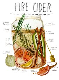 Madison Safer Illustration: Fire Cider is an increasingly poplar herbal folk...