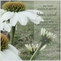 Psalm 119:116-119 ~ I stand in awe of Your Word...