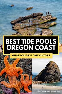 Discover the magic of Oregon Coast tide pools! From colorful anemones to elusive sea creatures, find your next adventure along the stunning Oregon coastline.  Fun activities to do at the Oregon coast and everything you need to know before visiting the Oregon coast and famous towns like Cannon Beach, Seaside, Astoria, Lincoln City and Newport.   Oregon coast travel | Oregon coast beaches | Oregon coast aesthetic | Pacific coast highway | Oregon Coast Trip | Travel Oregon | Pacific Northwest | Explore PNW | Ocean Views | Oregon coast road trip | Oregon coast itinerary | Oregon coast photography | Pacific Northwest Travel Guide | Best Oregon Coast hikes | Oregon Coast tide pools | Easy hikes Oregon Coast | tide pools in Oregon | Oregon Coast Road Trip Itinerary | Oregon Bucket List