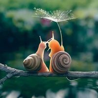 💜🐌 Every heart  Sings a song  Incomplete  Until another heart whispers back  Those who wish to sing always find a song  At the touch of a lover  Everyone becomes a poet     Plato  📚 /  pic.twitter.com/FQ6JJfuvVu