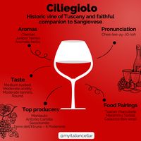 A comprehensive guide to Ciliegiolo: historic vine of Tuscany and faithful companion to Sangiovese.