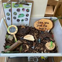 An indoor bug hunt set up for after the holidays. I used some bark chippings, wood and pretend bugs. I know my class will love this! The… | Instagram