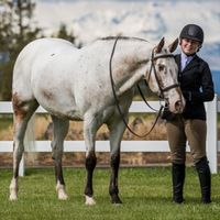 Meet Endo, he is a very special horse with no eyes, he is blind but he doesn't let that stop him! Endo has a lot of friends around him. and loves his mom, Morgan. together they conquer anything! in the world. Endo is one in Million.