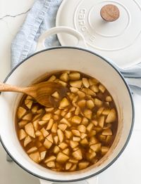 This Zero Point Cinnamon Apple Pie Filling is simple to make and has no added sugar! Keep it in your freezer for when you need it.