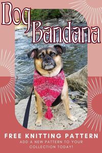 Introducing the Bejeweled Bandana, a stunning dog bandana that effortlessly combines simple stockinette with a textured stitch for an eye-catching striped design. This free knitting pattern is a must-have for your furry friend this summer! Crafted with metallic DK yarn, it boasts a delightful shine that glistens beautifully under the warm sunlight, adding a touch of elegance to your pup's style. Don't miss out on this captivating knit that will make your dog the envy of the park!