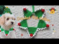 Crochet Pet Christmas Collar 🎄|⭐️Beginners🎄Móc vòng cổ cây thông cho chó mèo đón noel- Cách Up size - YouTube