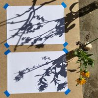 SHADOW DRAWING - Mini Mad Things