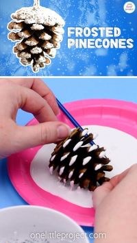 It's so fun to make these frosted pinecones and it's SO EASY to make pinecones look like they're dusted with sparkling snow. Make this winter craft to decorate your house for the holidays, or hang them on your Christmas tree. This glittery craft is perfect for older kids, tweens, teens, adults, and seniors.