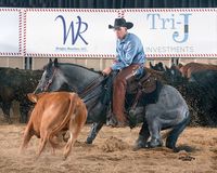 ONCE IN A BLU MOON....... With James Payne aboard, the stallion won the Classic/Challenge Open at the National Cutting Horse Association (NCHA) Summer Spectacular on July 18, earning nearly $40,000.