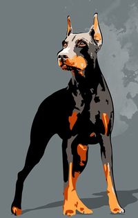 #DobermanPinscher #DobermanArt #Doberman #DobyArt