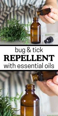 Homemade bug repellents are easy to make at home, inexpensive and effective in keeping bugs away. Feel confident this summer by spraying down clothing and shoes with this natural bug and tick repellent.