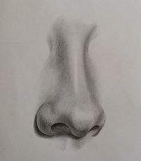 Realism in Pencil Drawing: Pro-Level Tips and Tricks ✅(Follow This Link)✅