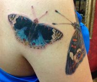 3rd Butterfly Tattoo of 4 (these are my personal tattoos) - realistic butterfly tattoo - Junonia orithya or Blue Pansy Butterfly