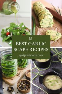 This collection of recipes is just what you need this garlic scape season! With delicious garlic scape recipes such as scape potato soup or garlic scape vinaigrette, you're sure to find lots of great ways to use up your garlic scapes.