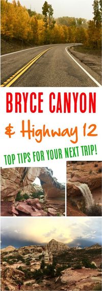 Highway 12 Utah! Bryce Canyon and Capitol Reef tips, plus Escalante Utah hiking and petrified forest!