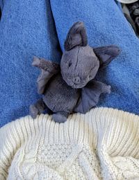 #bat #jellycat #fall #halloween #fyp