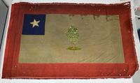 Mississippi Magnolia...Early War flag.......This flag was captured by the 2nd lowa Cavalry on May 30, 1962 just north of Booneville, Mississippi. It is currently in the possession of the State Historical Society of lowa, Des Moines, lowa.

This surviving Civil War era flag matches the
1861 Mississippi state Magnolia flag description more closely than any other currently discovered surviving Magnolia sample.